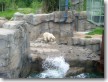 Ausflugswochenende in den Zoo Hannover (12.- 13.06.2010)